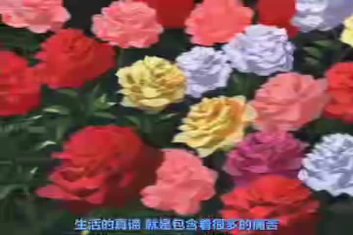 雏鸟の啭 后编