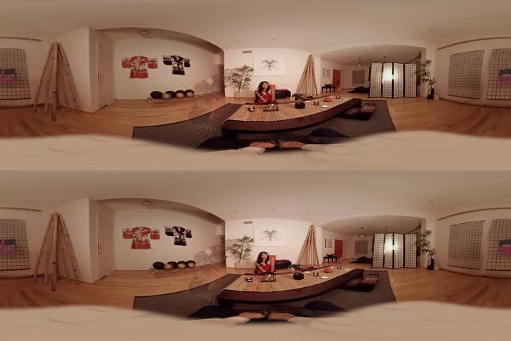 HoliVR _ Pilates for Sex