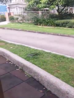美腿丝袜萝莉为涨粉竟然在大街上挤胸露私处自拍.mp4