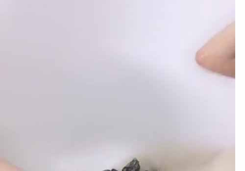 在東莞做過小姐的美女主播讓狼友刷夠瞭禮物馬上打電話叫瞭個猥瑣的炮友過來直播啪啪