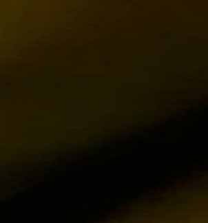 極品網絡紅人兮大大付費大尺度微拍56部合集50