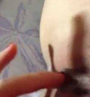 極品網絡紅人兮大大付費大尺度微拍56部合集22