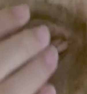 極品網絡紅人兮大大付費大尺度微拍56部合集28