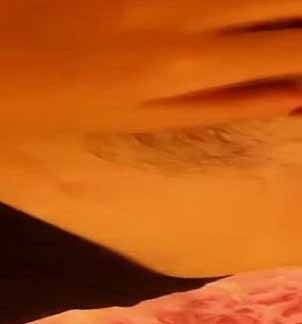 極品網絡紅人兮大大付費大尺度微拍56部合集35