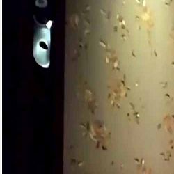 性徒貌似之前的夯先生最新作品爆草網紅微整師108P無水印完整版