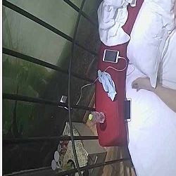 鳥籠情趣酒店水滴監控TP饑渴男女激情啪啪這男的JJ好小啊估計滿足不瞭這欲女