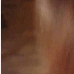 輕吻系列之國慶異地出遊商務模特對白有趣高清無水印完整版