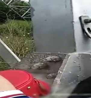 兒子你媽被草瞭花族教主勾搭個工廠打工仔到野外高壓電架下打野戰