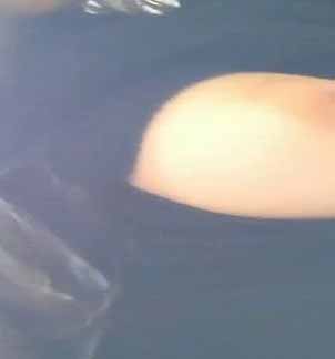 網友撩妹，妹子很謹慎脫之前先探出窗看看對面是否有偷窺的對白清晰