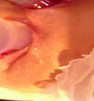 哥們憋壞瞭猛插靚妞屁眼精液像流膿溢出2