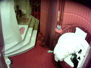 高素质美女和瘦男友浴缸干到床上对白清晰