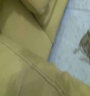 亞裔超人氣清純巨乳女神：Naked Sofa Sex Blooper