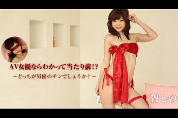 AV女优ならわかって当たり前どっちが男优のチンでしょうか