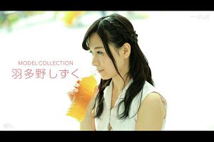 モデルコレクション羽多野しずく