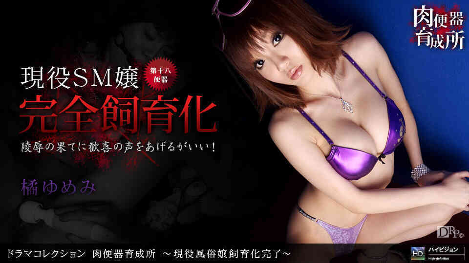 1pondo-060910_852-B-肉便器育成所 ?現役風俗嬢飼育化完了?