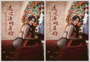 透过渔网看你—视频版 美萱