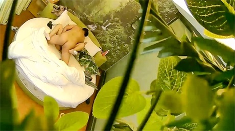 偷拍小伙泡风骚少妇，上位骑着啪啪响两个奶子还挺坚挺的