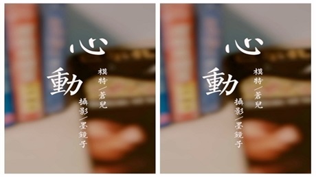 心动 视频版 苍儿