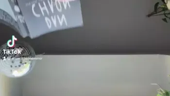 video_2025-02-12_18-45-27 (41)