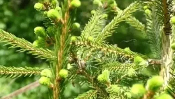 video_2025-02-12_18-45-27 (28)