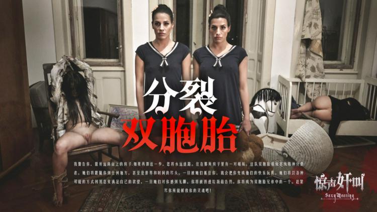 分裂双胞胎-精品力荐