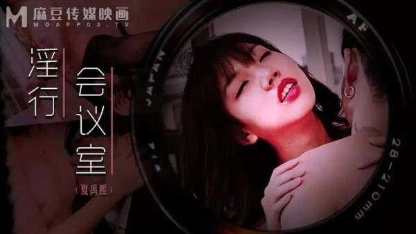 淫行会议室-xj