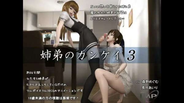姉弟のカンケイ3 3D动漫 中文字幕-xj