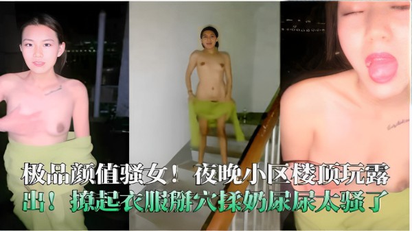 极品颜值骚女！夜晚小区楼顶玩露出！撩起衣服辦穴揉奶尿尿太骚了！-精品力荐