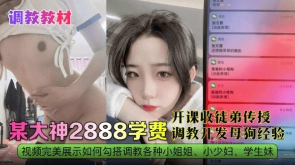 推荐【调教教材】某大神调教开发母狗经验，极品反差婊网红黑料-xj