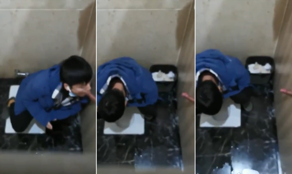 鸟洞，卧槽，太会玩了