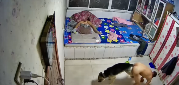 墙都不扶，就服你