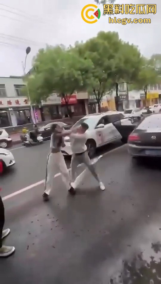 奇葩小仙女撞车先动手，结果男子十拳连击加扫把伺候，最后夹尾巴认怂小红书写小作文求网爆！