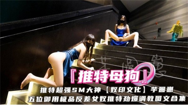 推特网红女神母狗调教大合集 炉管必备