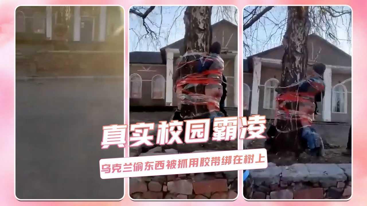 真实校园霸凌  乌克兰偷东西被抓用胶带绑在树上
