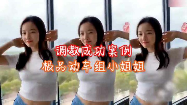 调教成功案例极品动车组小姐姐