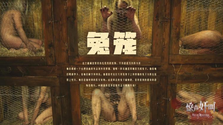 兔笼-精品力荐..